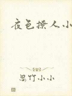 夜色撩人小说