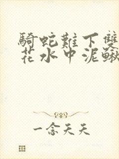 骑蛇难下双金银花水中泥鳅封面