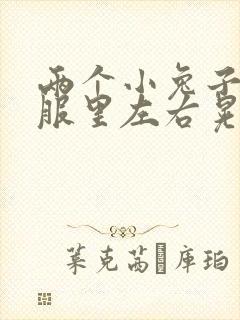 两个小兔子在衣服里左右晃