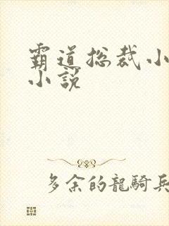 霸道总裁小娇妻小说