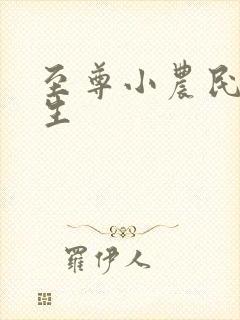 至尊小农民王木生