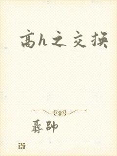 高h之交换封面