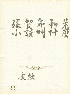 张贺年和叶繁姿小说叫什么名字