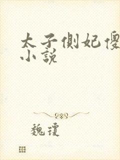 太子侧妃傻乎乎小说