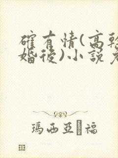 确有情(高干 婚后)小说免费