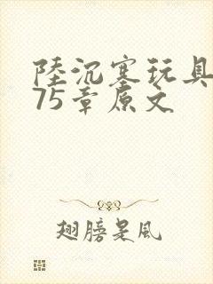 陆沉塞玩具高速75章原文