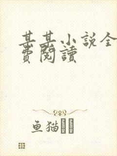 某某小说全文免费阅读封面