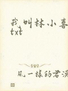 我叫林小喜小说txt