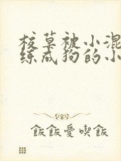 校草被小混混训练成狗的小说