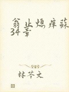 翁止熄痒苏钥第34章
