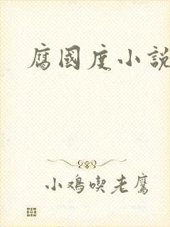 腐国度小说封面