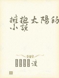 拥抱太阳的月亮小说