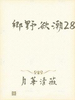 乡野欲潮28章