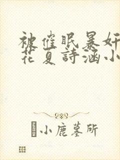 被催眠暴奸的校花夏诗涵小说