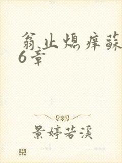 翁止熄痒苏玥第6章