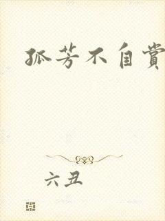 孤芳不自赏小说