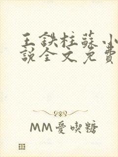 王铁柱苏小汐小说全文免费阅读最新章节