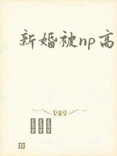 新婚被np高h