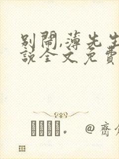 别闹,薄先生小说全文免费阅读封面