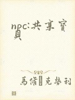 npc:共享宝贝