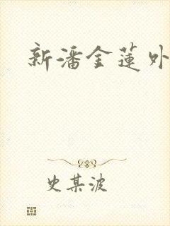 新潘金莲外传封面