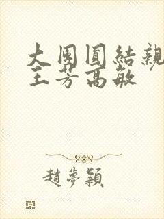 大团圆结亲情会王芳高敏封面