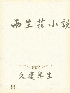 两生花小说封面