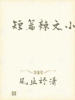 短篇辣文小说封面