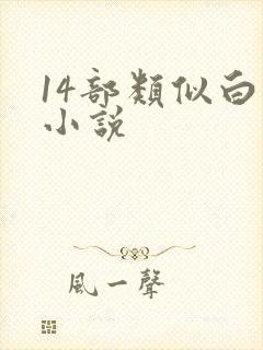 14部类似白洁小说封面