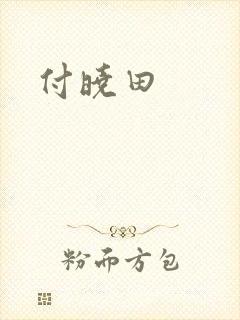 付晓田