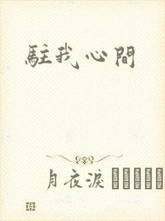驻我心间封面