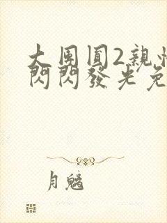 大团圆2亲情会闪闪发光免费