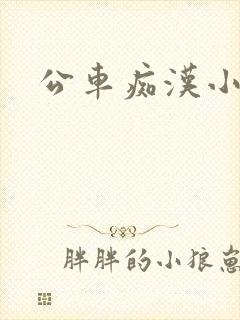 公车痴汉小说