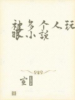 被多个人玩屁股眼小说封面