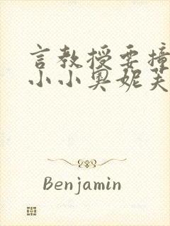 言教授要撞坏了小小奥妮芙原文封面