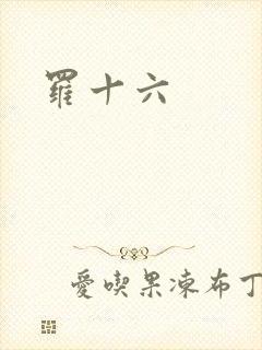 罗十六
