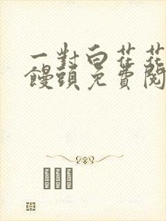 一对白花花的大馒头免费阅读