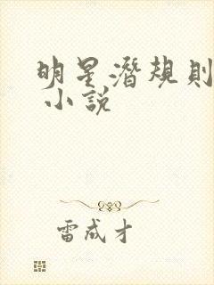 明星潜规则之皇 小说