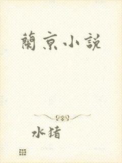 兰京小说封面