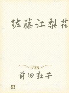 佐藤江梨花封面