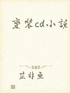 变装cd小说
