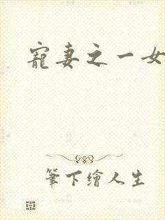 宠妻之一女二夫