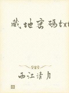 藏地密码txt封面