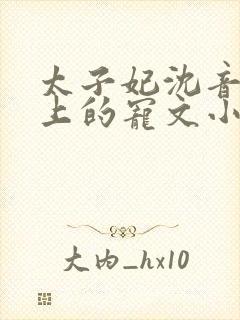 太子妃沈音和皇上的宠文小说