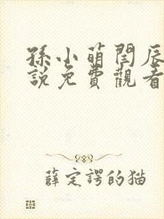 孙小萌闫辰的小说免费观看封面