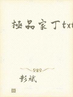 极品家丁txt