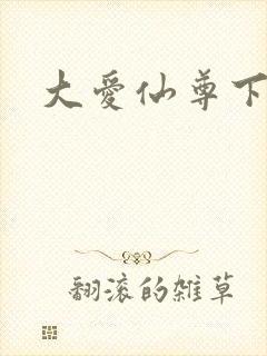 大爱仙尊下载封面