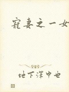 宠妻之一女二夫