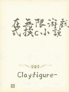 在无限游戏里花式挨c小说封面