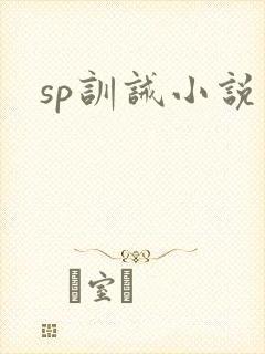 sp训诫小说